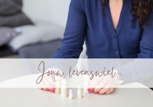 Module 2 – Jouw levenswiel