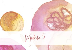 Module 5 – Omarm jouw verhaal