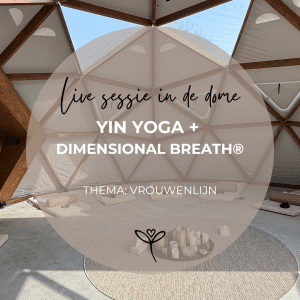 YinYoga + Dimensional Breath® - Thema: Vrouwenlijn - 21 april - 19.30 - 21.30 uur